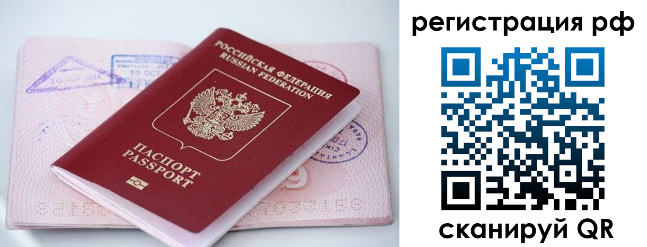 прописка штамп в Королёве
